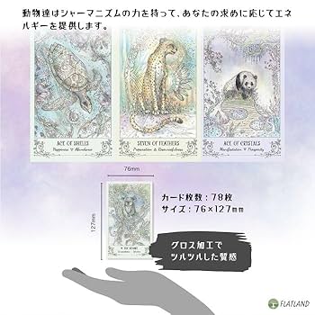 Amazon.co.jp: スピリットソング タロット Spirit Song Tarot